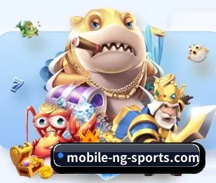 NG体育App的故事